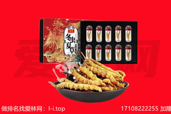 三明宁化县回收虫草.jpg
